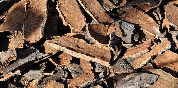 Harvested cork oak tree bark