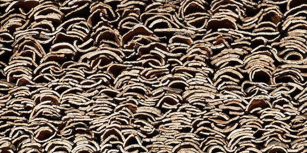 Cork oak tree bark harvested and stacked