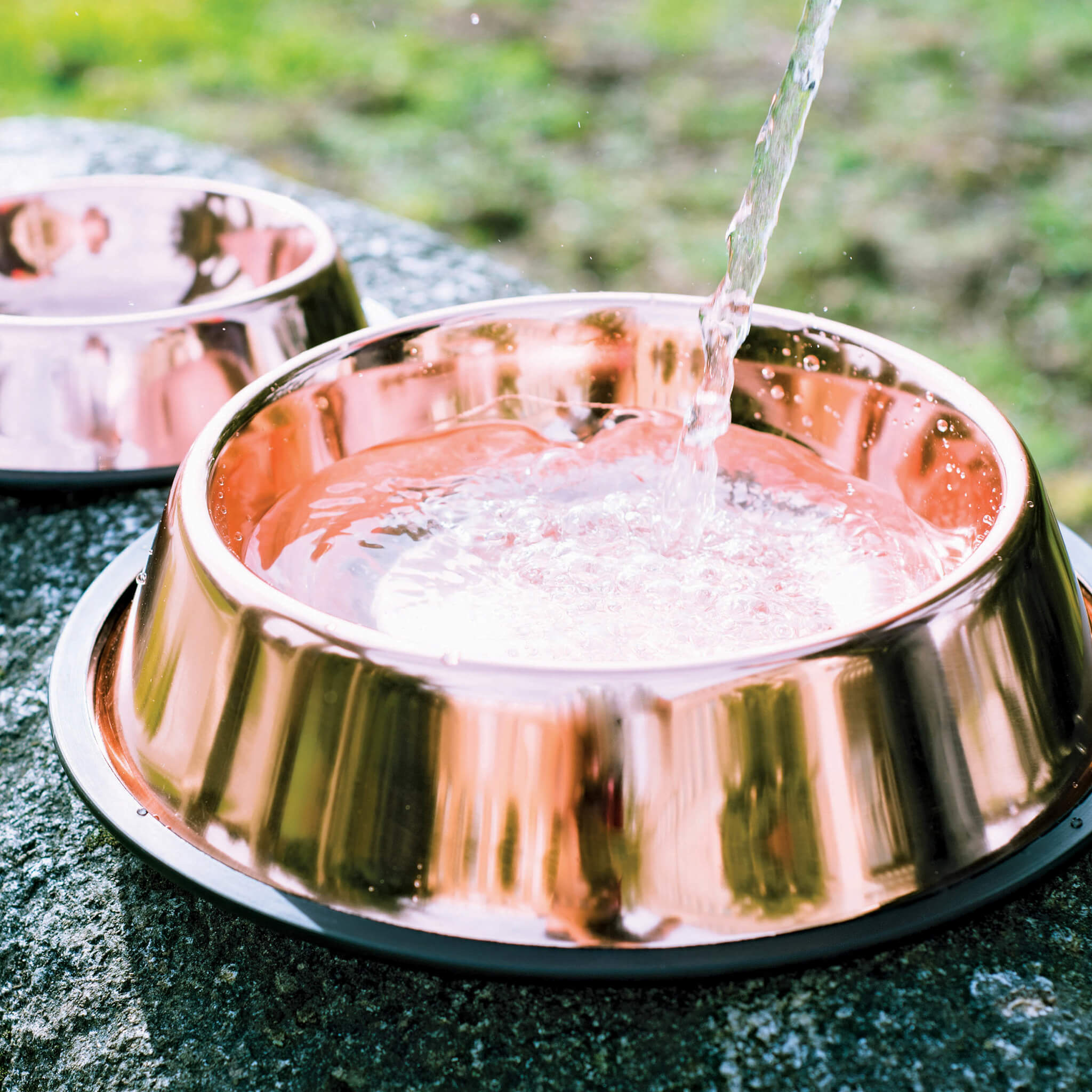 Copper clearance pet bowl